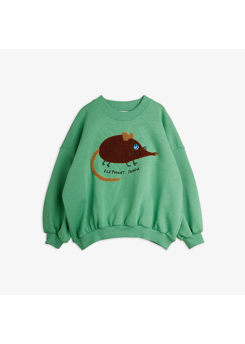 Mini Rodini Mini Rodini Elephant shrew chenille sweatshirt Green
