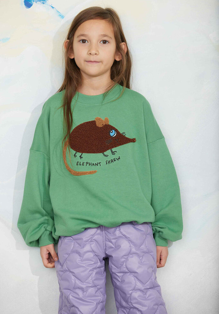 Mini Rodini Elephant shrew chenille sweatshirt Green