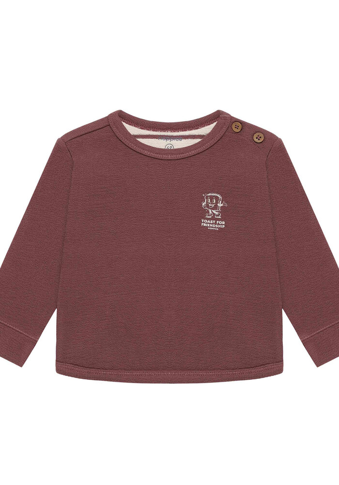 Noppies Tee LS Baked Cherry
