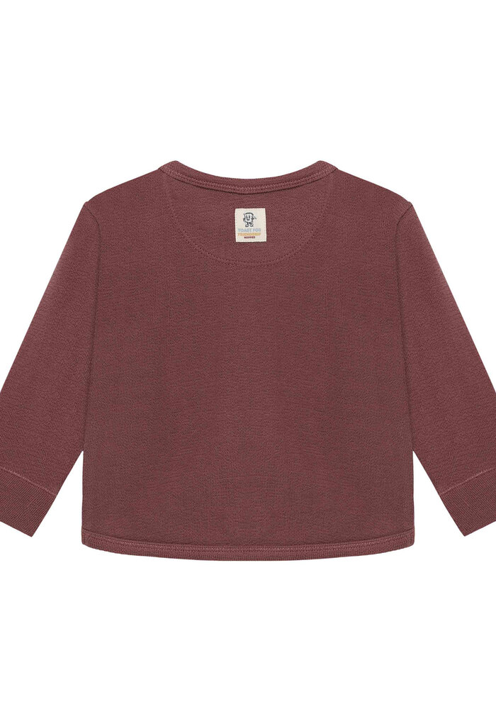 Noppies Tee LS Baked Cherry