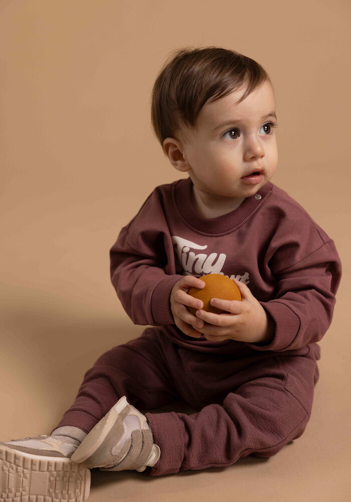 Noppies Pants regular fit Baked Cherry