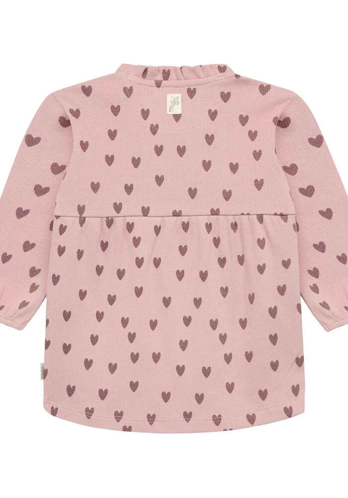 Noppies Dress LS AOP Adobe Rose