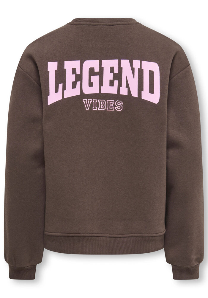Only Kids KOGVICKY L/S O-NECK CS SWT Bracken Legend Vibes/Pink Lady