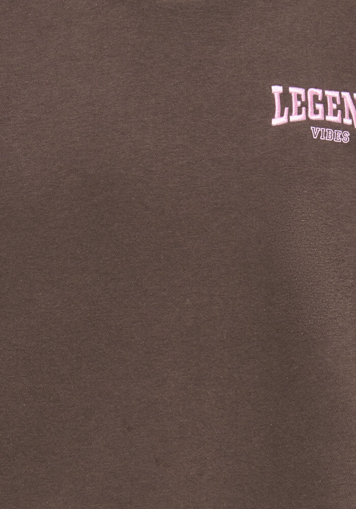 Only Kids KOGVICKY L/S O-NECK CS SWT Bracken Legend Vibes/Pink Lady
