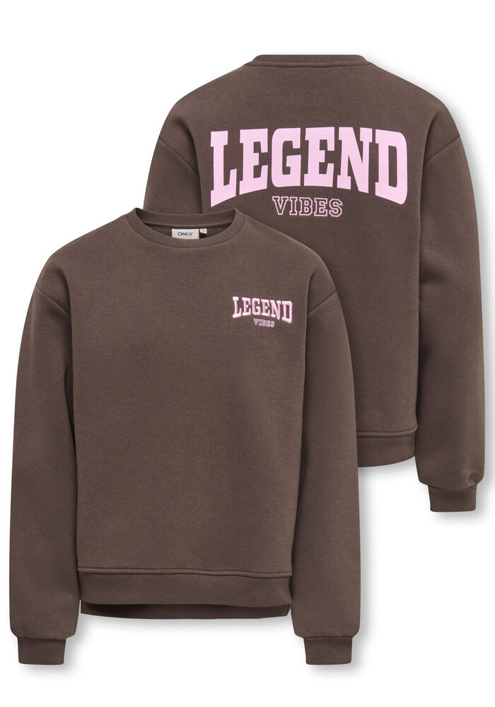 Only Kids KOGVICKY L/S O-NECK CS SWT Bracken Legend Vibes/Pink Lady