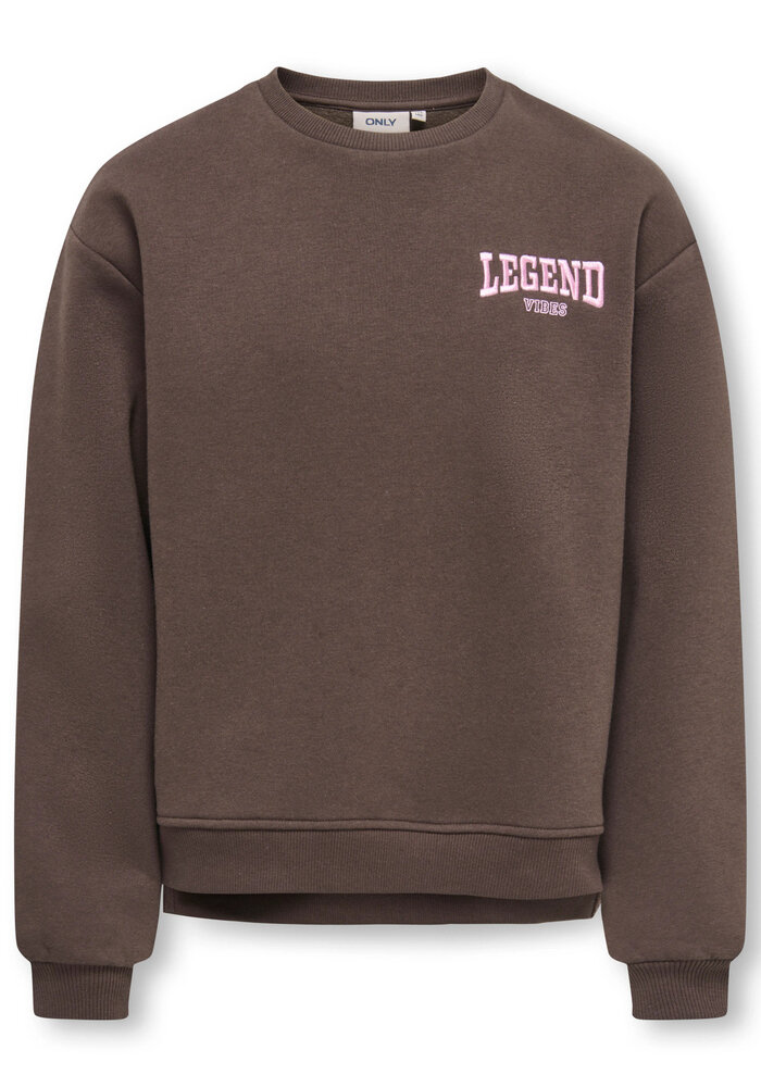 Only Kids KOGVICKY L/S O-NECK CS SWT Bracken Legend Vibes/Pink Lady