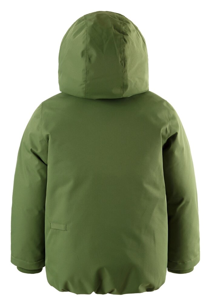 Gosoaky CHIPMUNCK pesto green