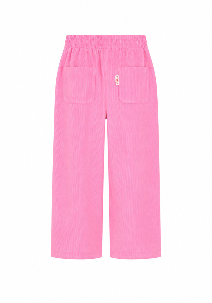 The New Chapter Atlas trousers Rosebloom
