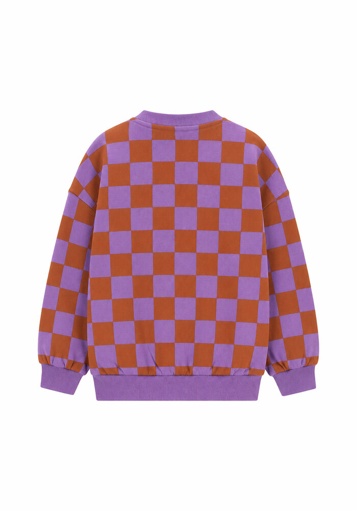 The New Chapter Billie Sweater Checker