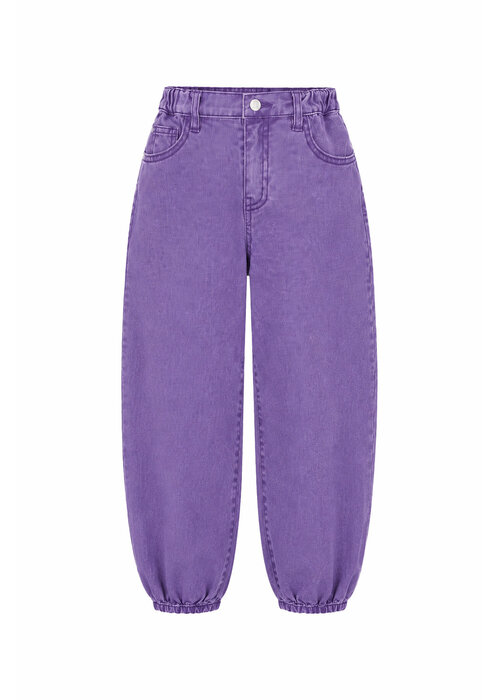 The New Chapter The New Chapter Stije Denim pants Chive Blossom