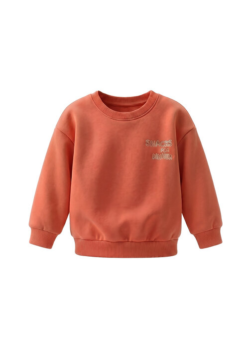 Your Wishes Your Wishes Garment Dye | Oversized Sweater Ginger