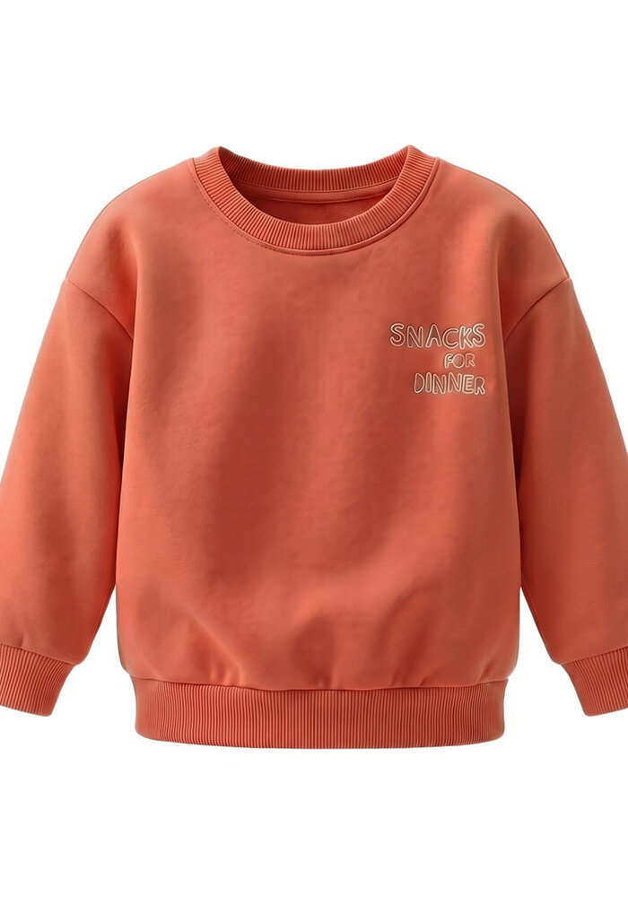Your Wishes Garment Dye | Oversized Sweater Ginger
