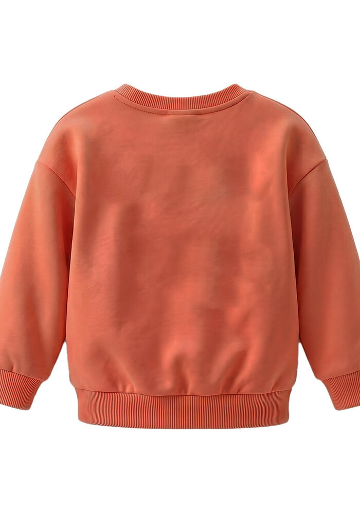 Your Wishes Garment Dye | Oversized Sweater Ginger