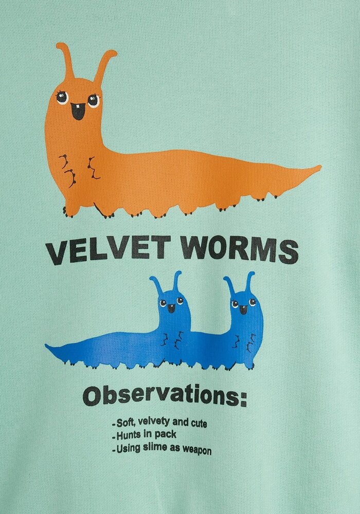 Mini Rodini Velvet worms observations sp sweatshirt Green
