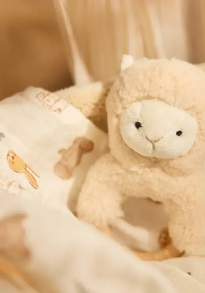 Jollein Bijtring - Jollies - Alpaca Paco