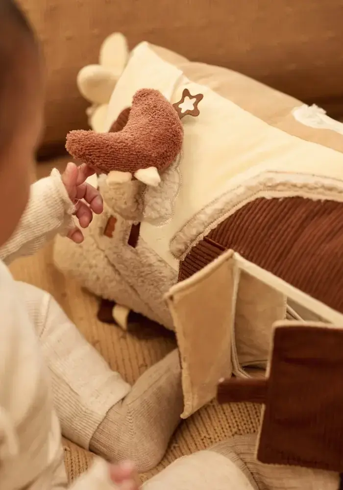 Jollein Activiteitendriehoek - Woolly