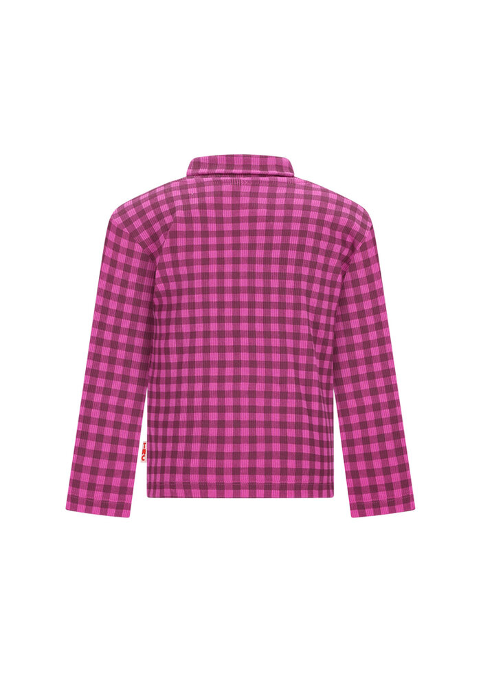 The New Chapter Cody Long sleeve Pink Gingham
