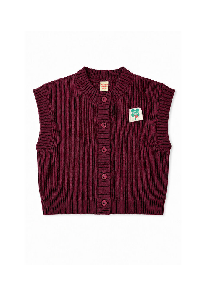 The New Chapter Beau spencer Burgundy