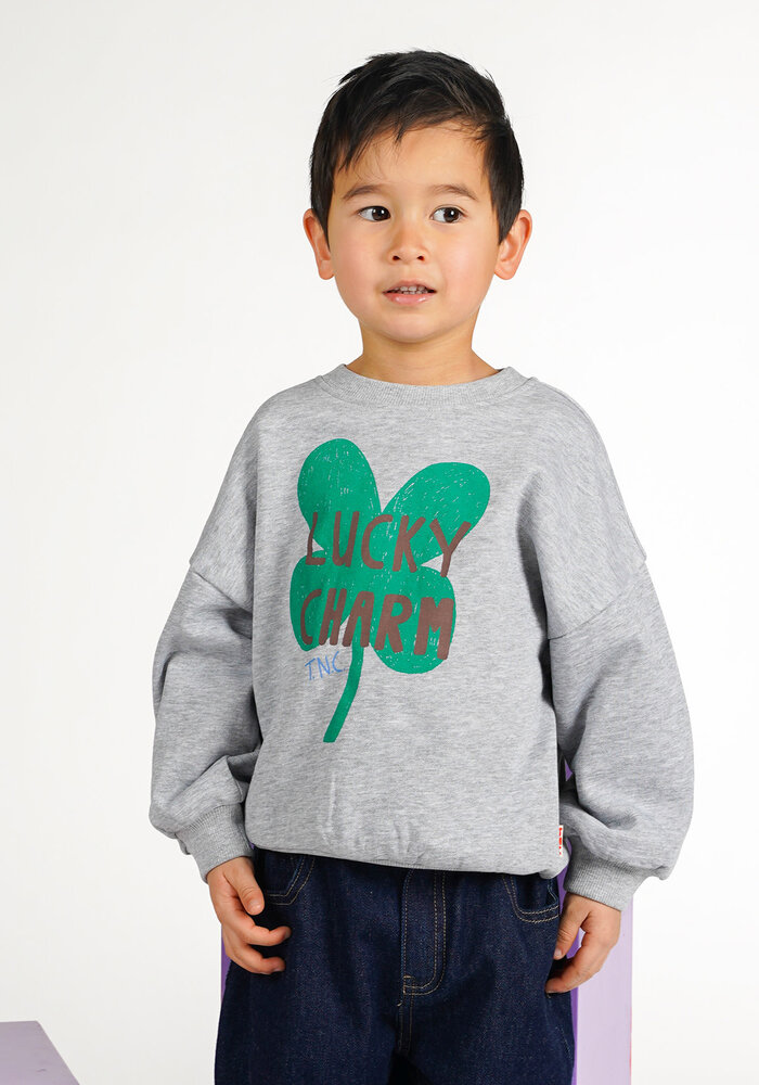 The New Chapter Billie Sweater Grey Melee |
