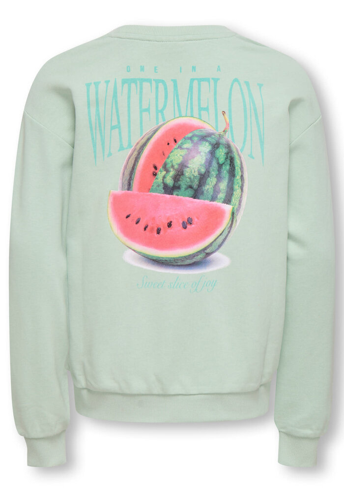 Only Kids KOGPHILEA LIFE L/S LOOSE UB VD SWT NOOS Aqua Foam Watermelon