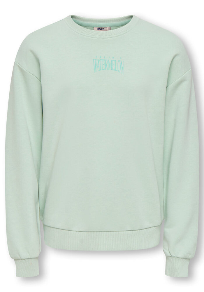 Only Kids KOGPHILEA LIFE L/S LOOSE UB VD SWT NOOS Aqua Foam Watermelon