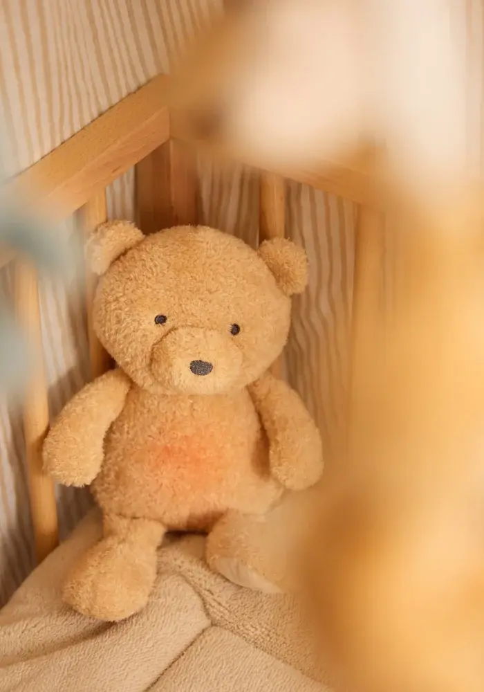 Jollein Knuffel met Licht en geluid - Bear Brave