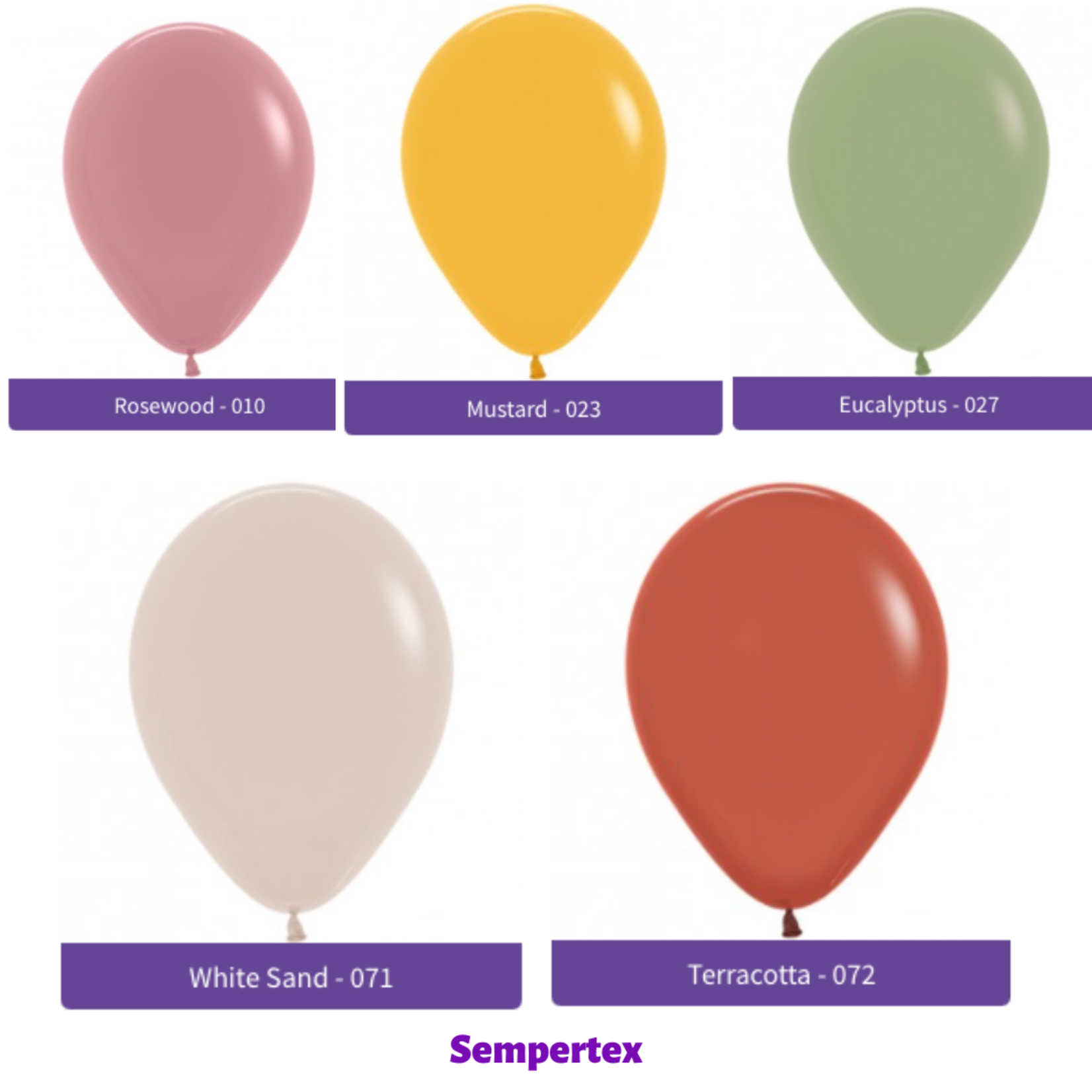Ballonnendeal Ballonpilaar Cijfer