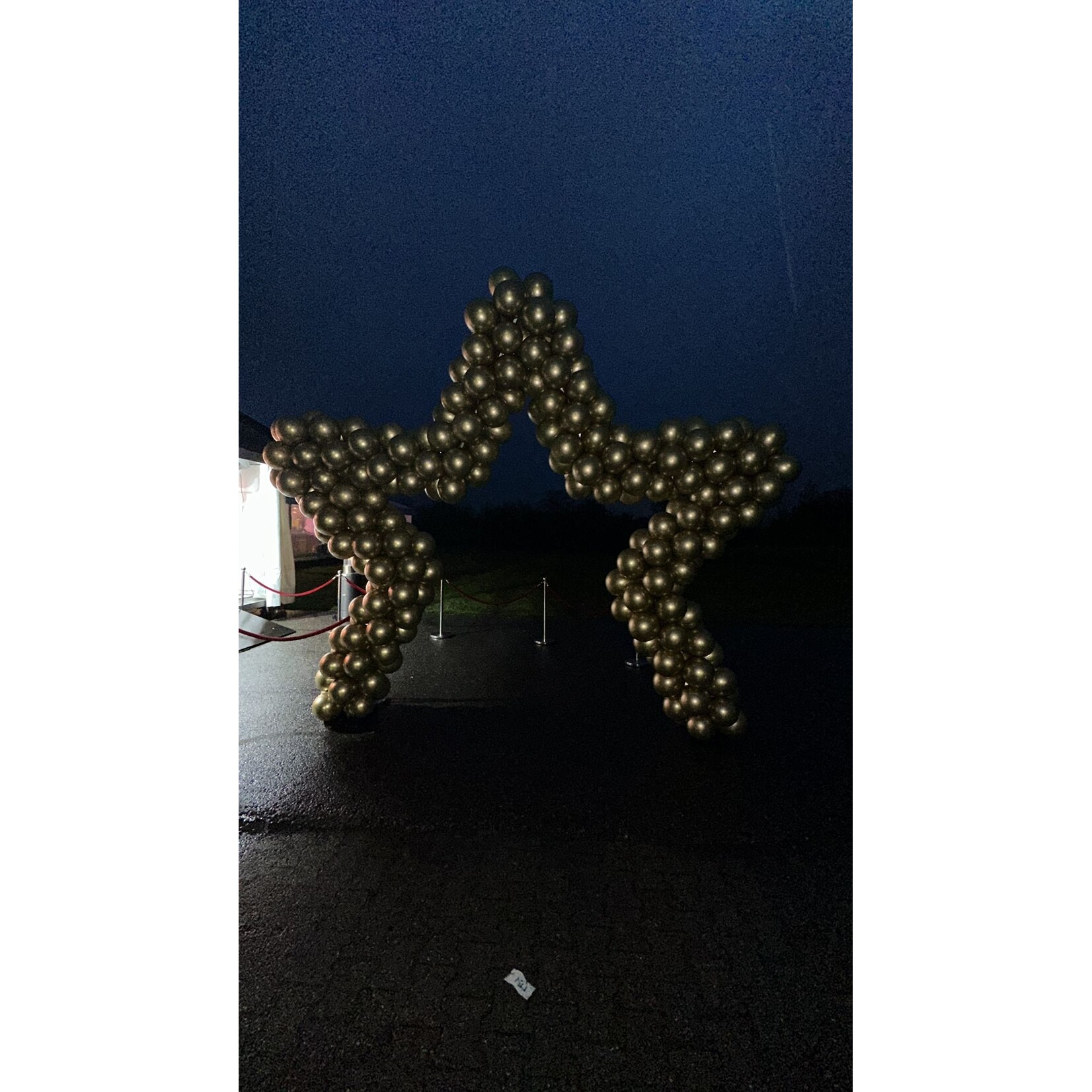 Ballonnenboog ster | 280x270cm