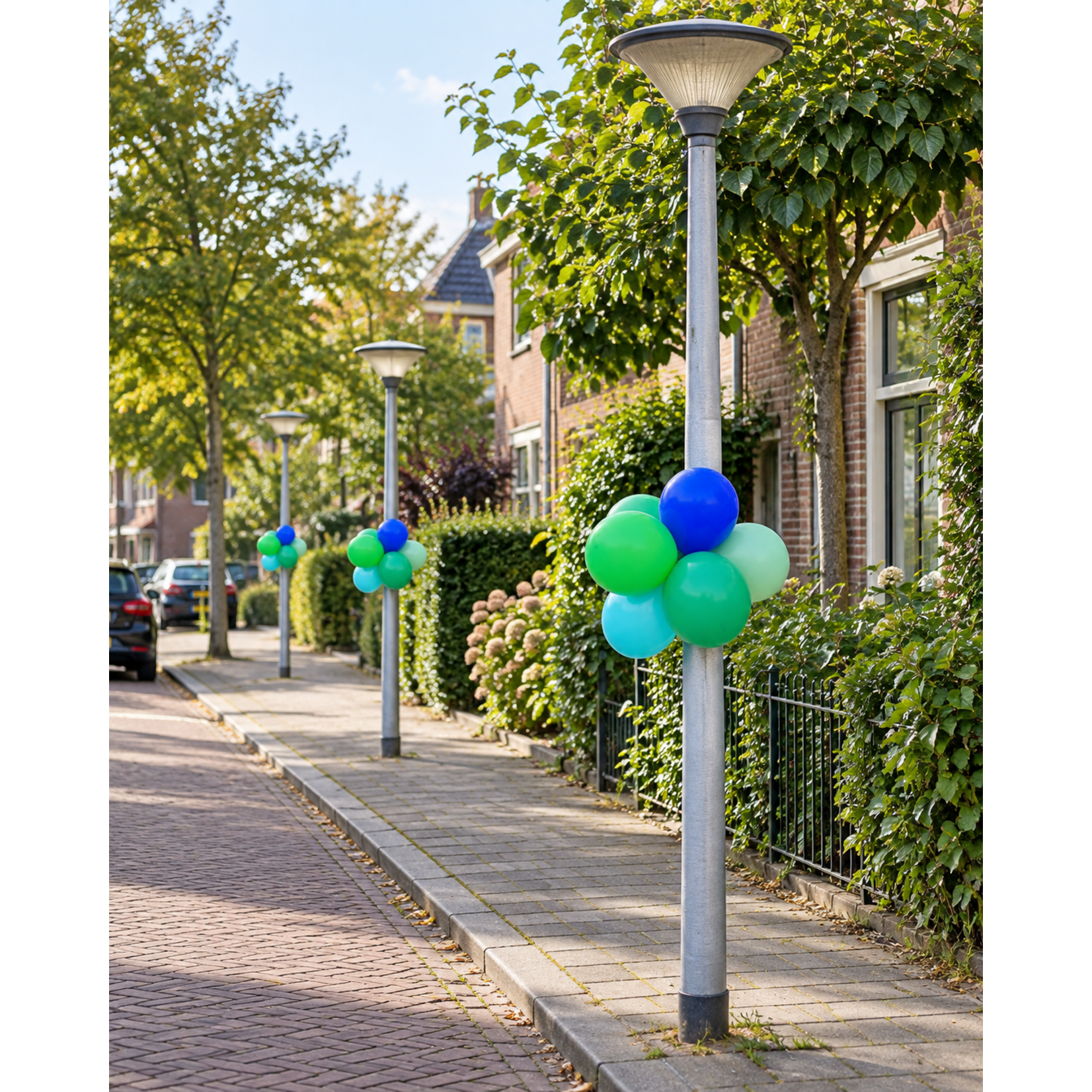 Ballonbundel | 6 ballonnen incl. bevestigingsballon
