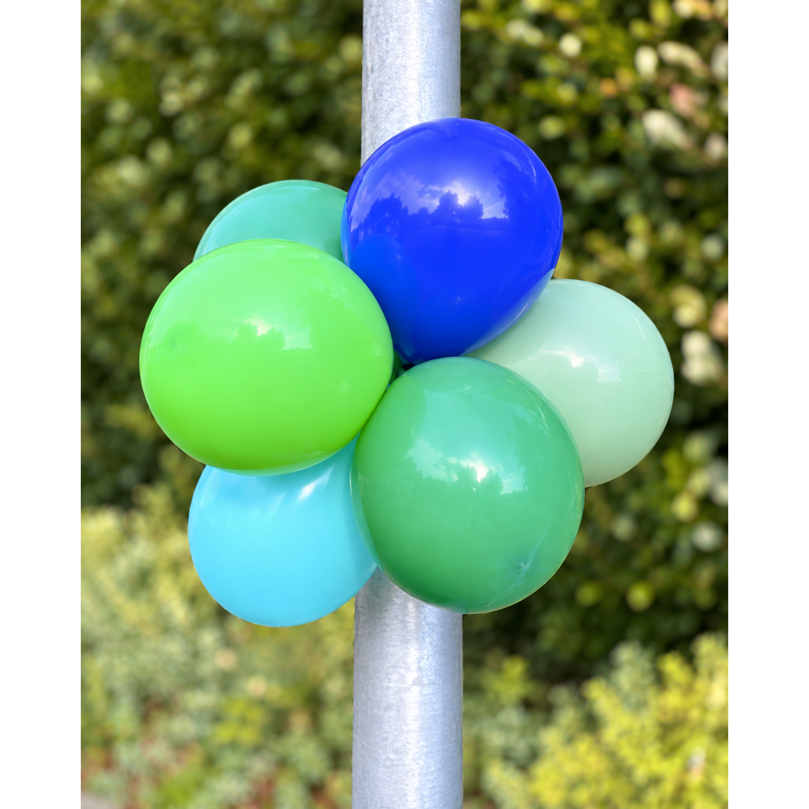 Ballonbundel | 6 ballonnen incl. bevestigingsballon