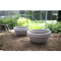 Bonsai pot van steen