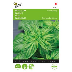 Buzzy | Basilicum Grootbladig - Organic