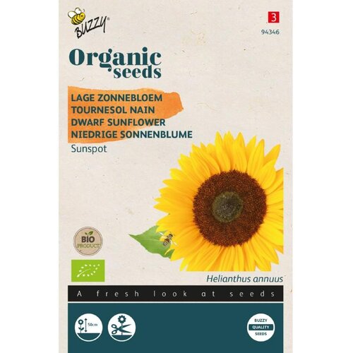 Buzzy | Helianthus, Lage zonnebloem Sunspot - Organic