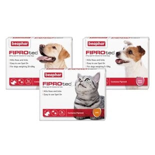 Fleas and ticks