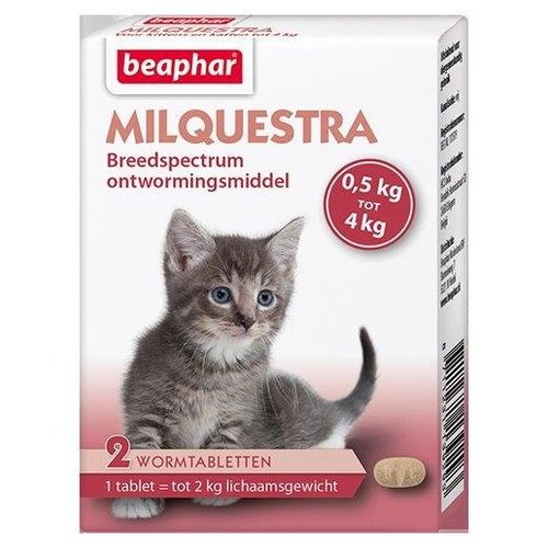 Milquestra kleine kat/kitten - 2 st 