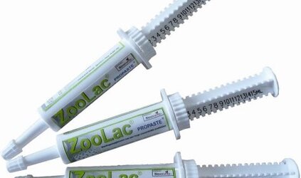 Diarree gezelschapsdieren