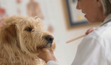 Hygiëne-maatregelen 