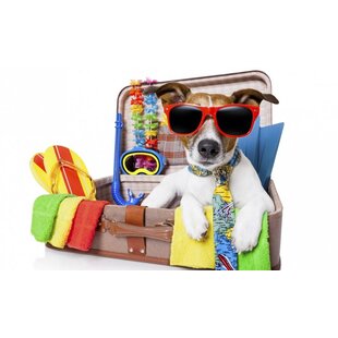 Urlaubsstress Haustieren
