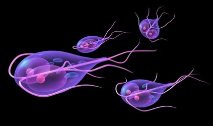 Giardia - tips