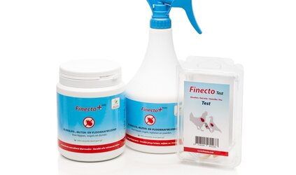 Bloedluisbestrijding 