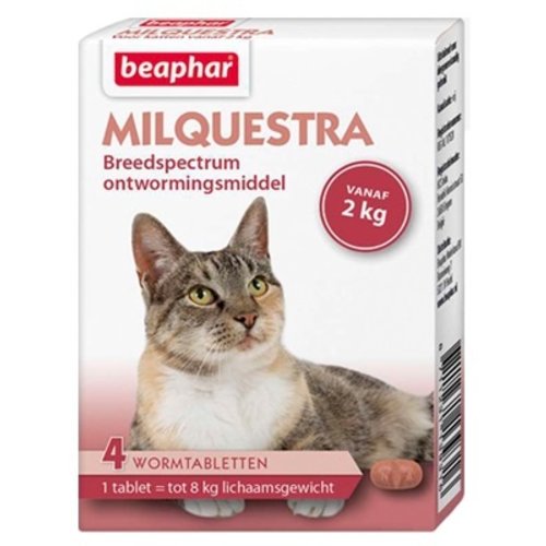 Milquestra Große Katzen - 4 st 