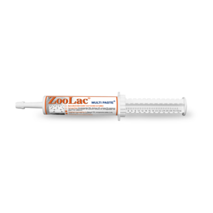 Zoolac Multipaste 32ml  - Arrêt Rapide