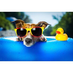 Animal de compagnie et chaleur