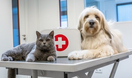 Giftige bloemen en planten 