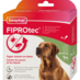 Fiprotec 20-40kg 4 pipettes