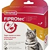 Fiprotec Spot-On Katze 4 Pipetten