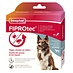 Fiprotec 10-20kg 4 pipetten