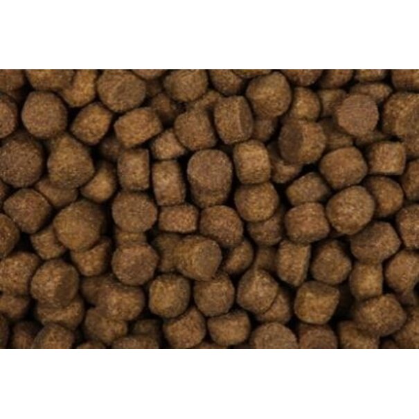 Zoolicious Zoolicious High Performance 5kg