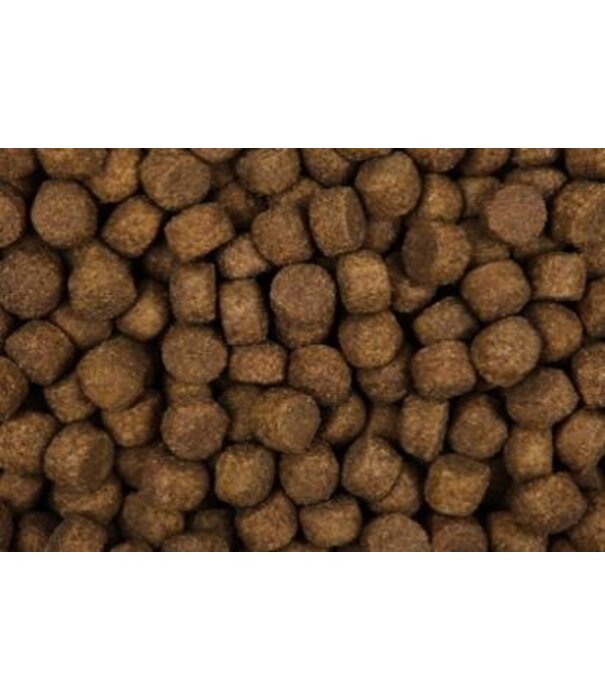 Zoolicious Zoolicious High Performance 30/20 - Hundefutter für aktive Hunde, Arbeitshunde und Jagdhunde