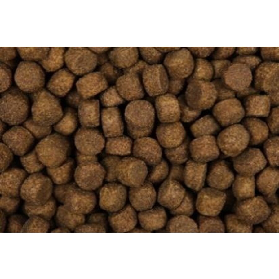 Zoolicious High Performance 30/20 - Hundefutter für aktive Hunde, Arbeitshunde und Jagdhunde-2